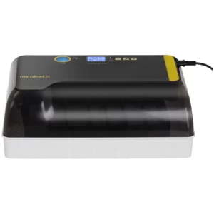 Liaheň na vajcia 12 ks – s presvetľovacou funkciou