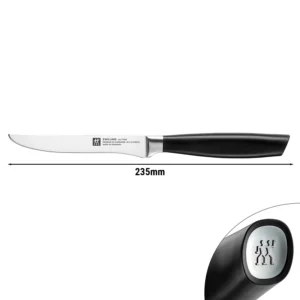 Steakový nôž ZWILLING ALL*STAR – strieborná rukoväť, čepeľ 120 mm