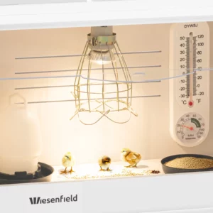 Plastová odchovňa pre kuriatka – 48 × 30 × 32 cm, teplota do 36 °C