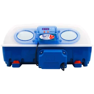 49-vajcová liaheň – antimikrobiálny vnútorný povrch