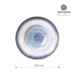 Tanier na pastu Galaxy, priemer 300 mm