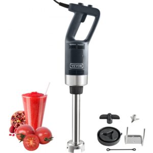 Puree Blender elektrický tyčový mixér 750 W, vysokovýkonný mixér s nastaviteľnou rýchlosťou, nerezový viacúčelový tyčový mixér 660 mm, odnímateľná miešacia tyč, vrátane nástenného háku a výmennej hlavice čepele