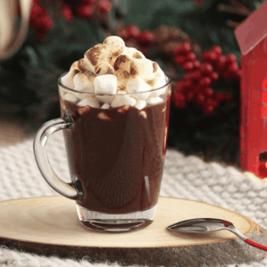 Sklenený hrnček Vega – 300 ml