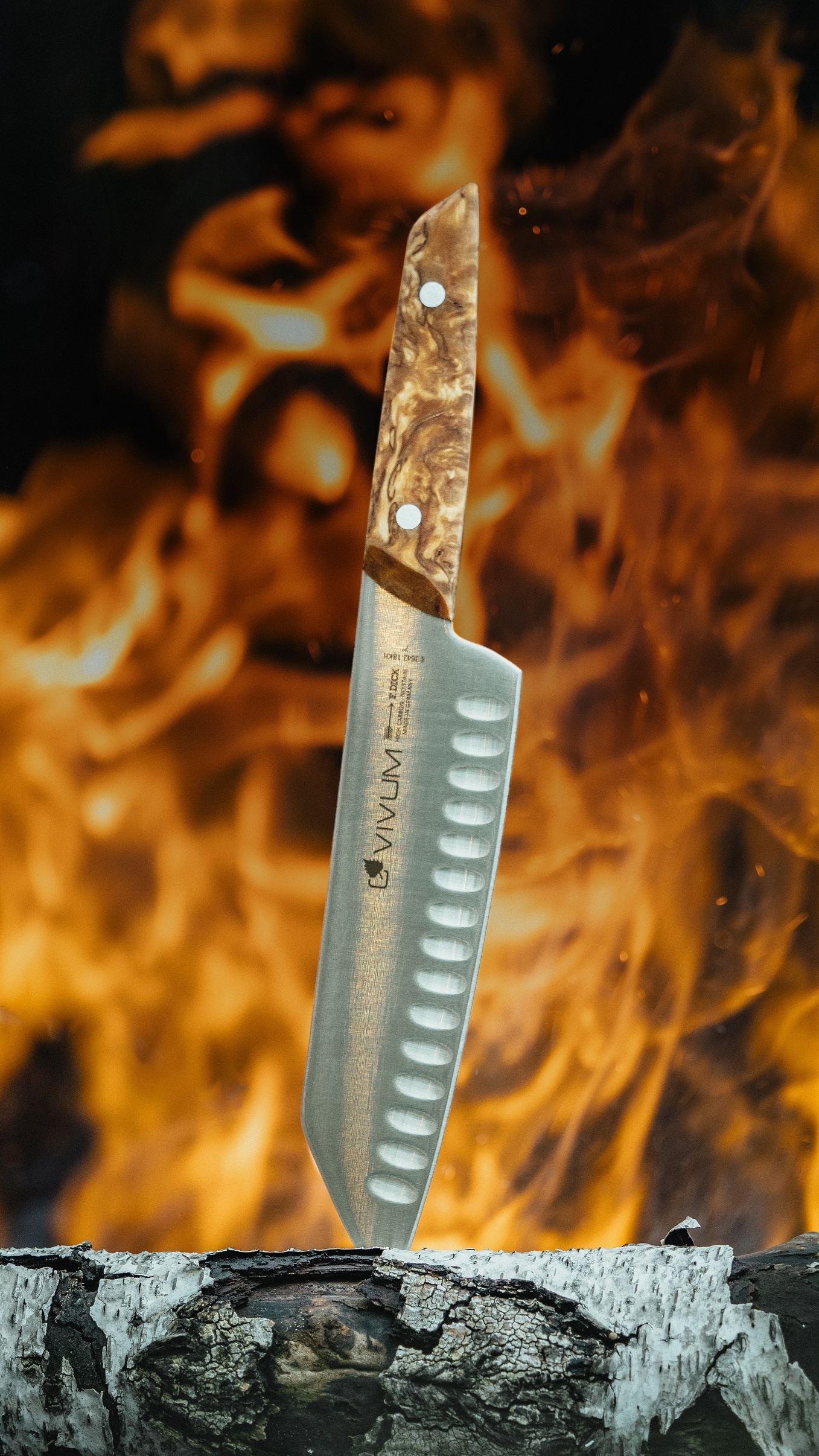 Japonský kovaný kuchársky nôž — Santoku so špeciálnym výbrusom, séria VIVUM, dĺžka 18 cm – Obrázok 4