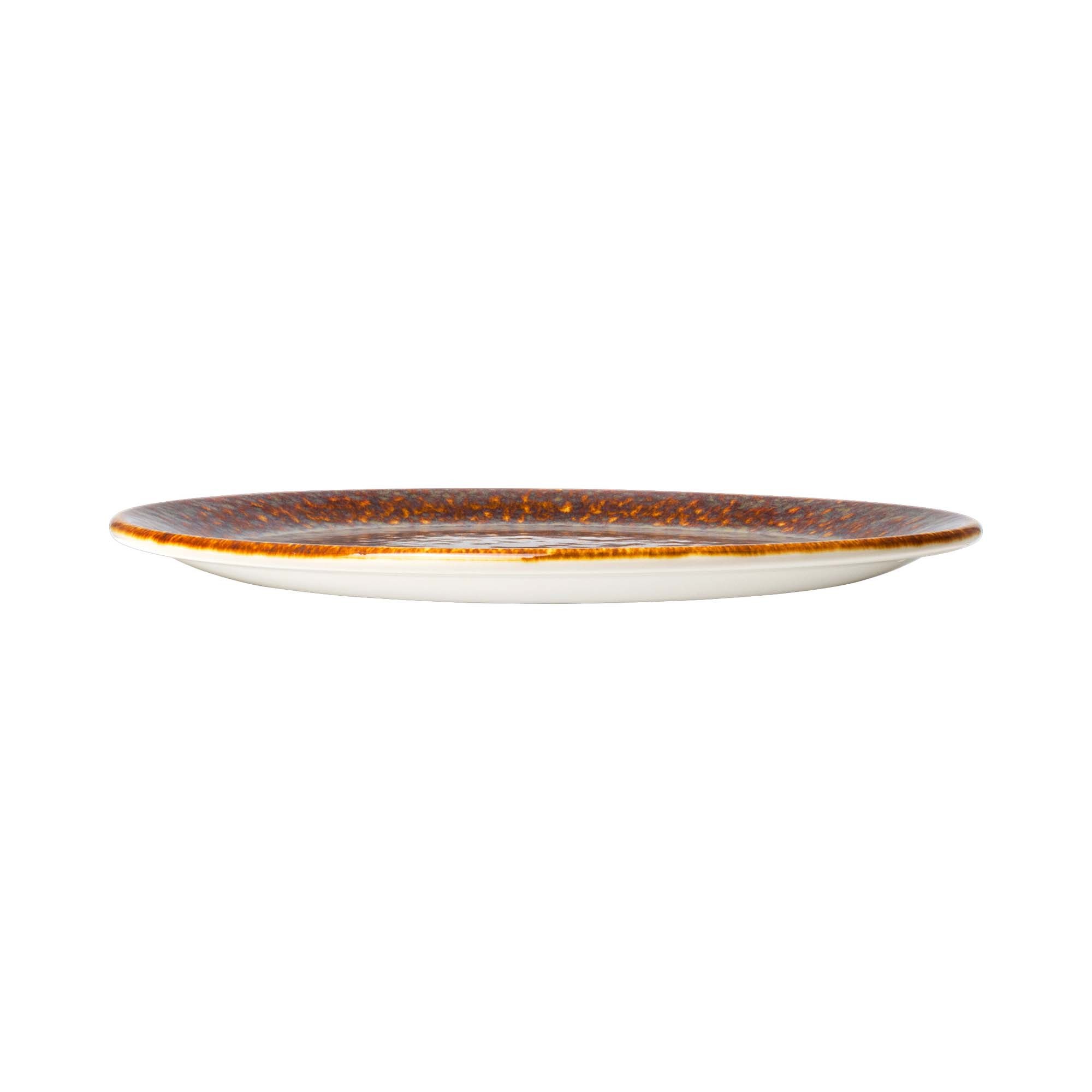 Porcelánový tanier plytký Vesuvius Amber, 252,5 mm, 1 ks – Obrázok 2