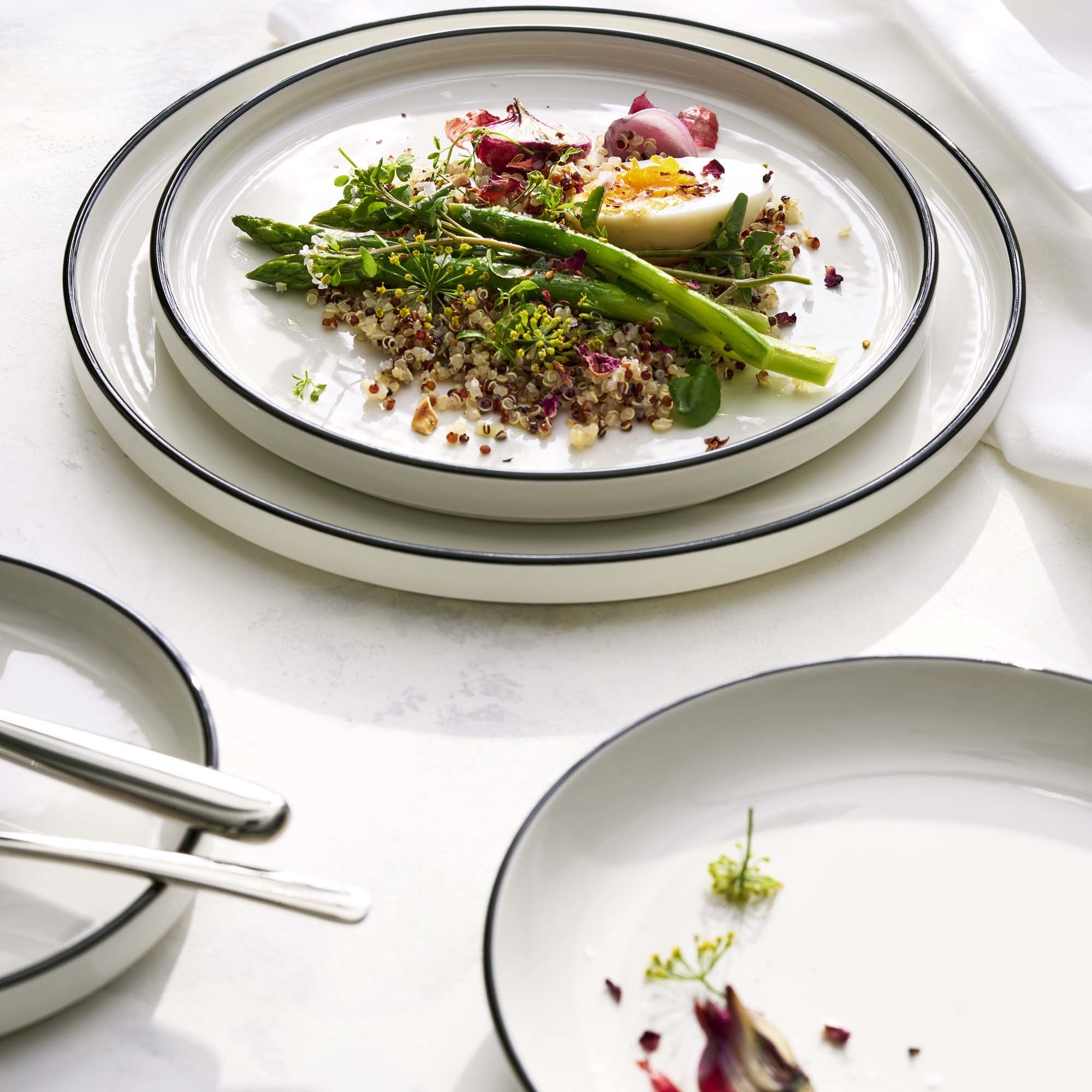 Porcelánový jedálenský tanier plytký Coupe Asteria Nordic, 202 mm, 1 ks – Obrázok 4