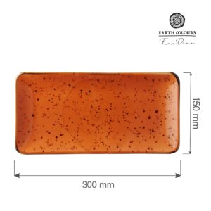 Obdĺžnikový prezentačný tanier Dahlia, 300 x 150 mm, 1 ks